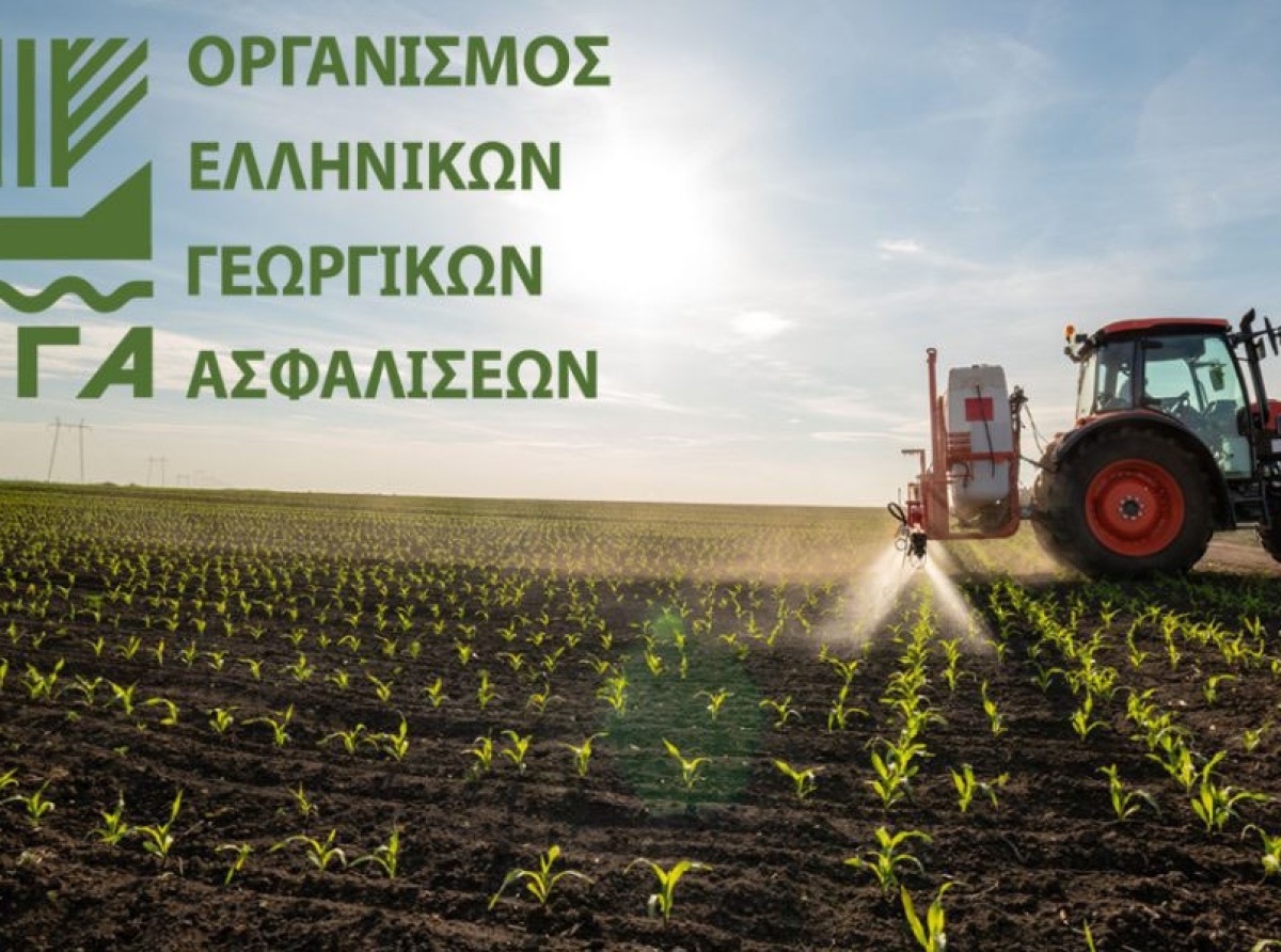 ΕΛΓΑ: 38 εκατομμύρια ευρώ σε 12.915 δικαιούχους αγρότες για ζημιές σε φυτική παραγωγή και ζωϊκό κεφάλαιο