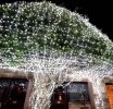 Διαγωνισμός καλύτερης χριστουγεννιάτικης βιτρίνας και εξωτερικής όψης κτηρίου στον Δήμο Αμφιλοχίας