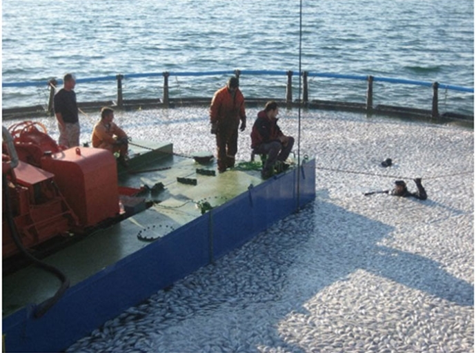 Αμβρακικός Κόλπος: Ανάμεσα στην Ανάπτυξη, την Πίεση και το Χωροταξικό Κενό. Τι δείχνουν τα δεδομένα και τι σημαίνουν για το μέλλον μας