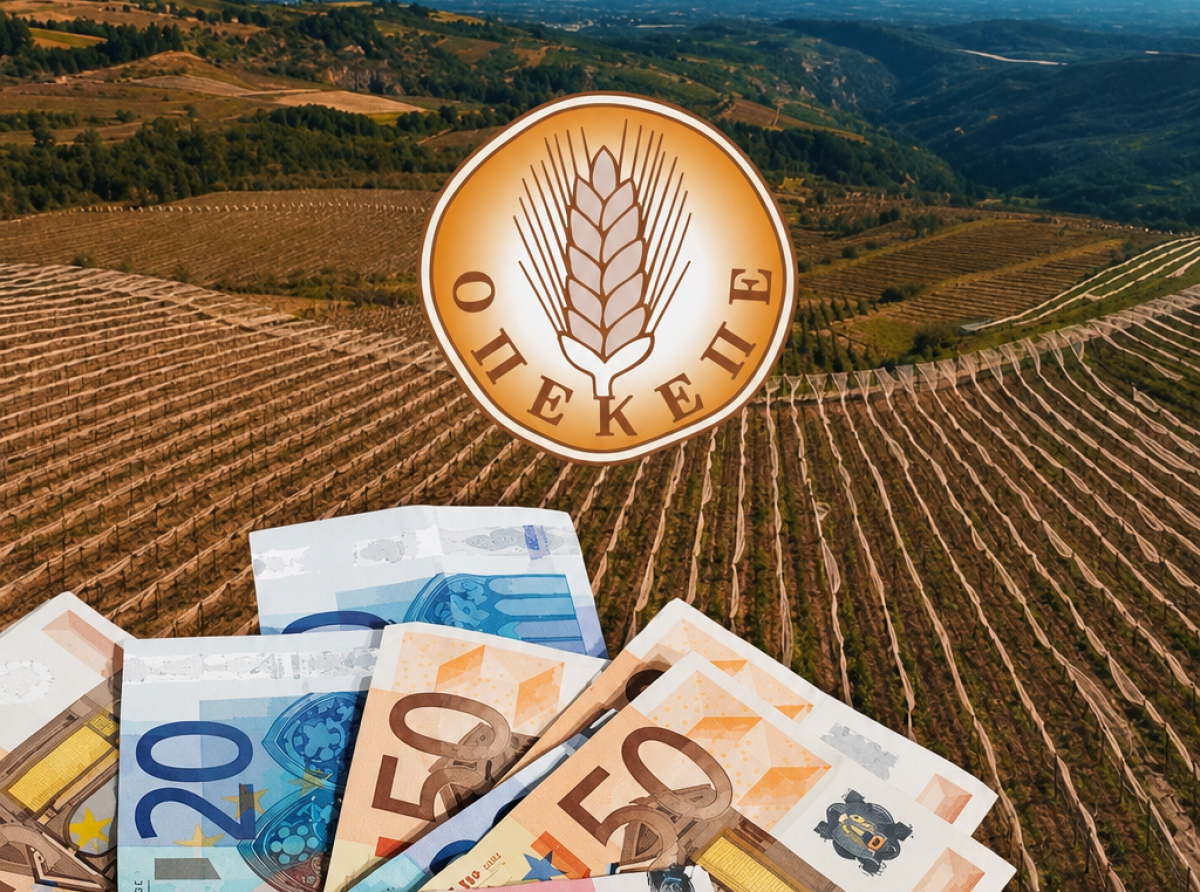ΟΠΕΚΕΠΕ: Ελεύθερος με εγγύηση ο διαχειριστής του ΚΥΔ από το Αγρίνιο
